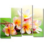 Модульные картины