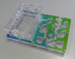 муравьиная ферма