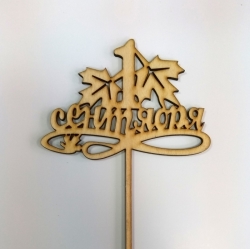 топпер 1 сентября